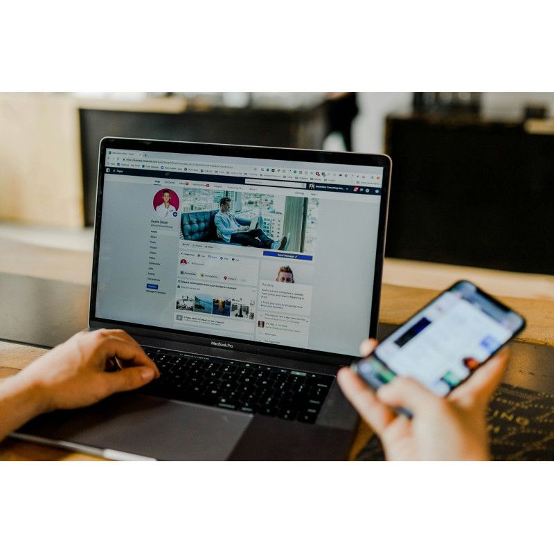 Plasare reclame în mediile online